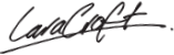 caracraft-box-logo
